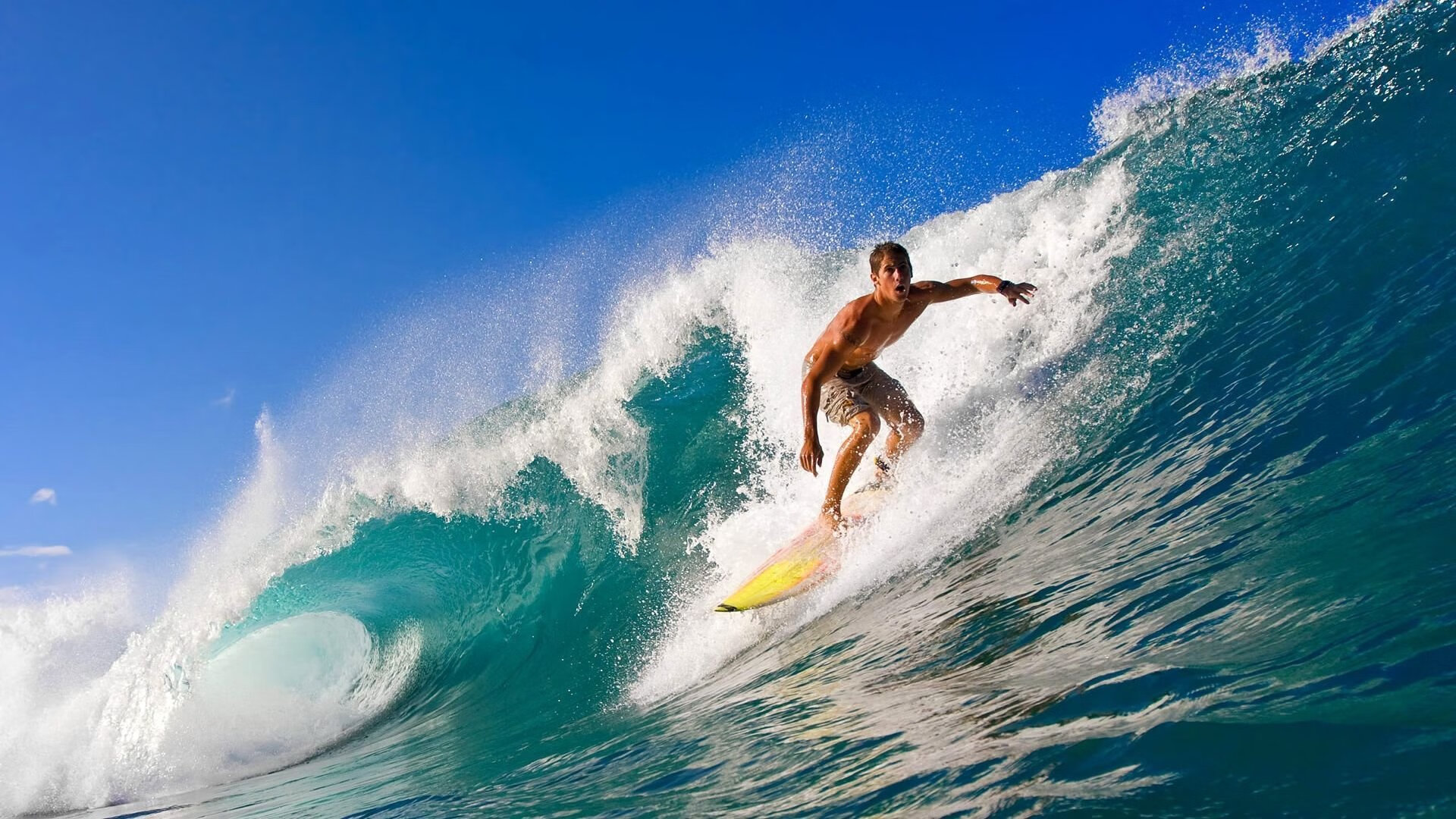 “美洲狮队：阿根廷橄榄球的崭新篇章”