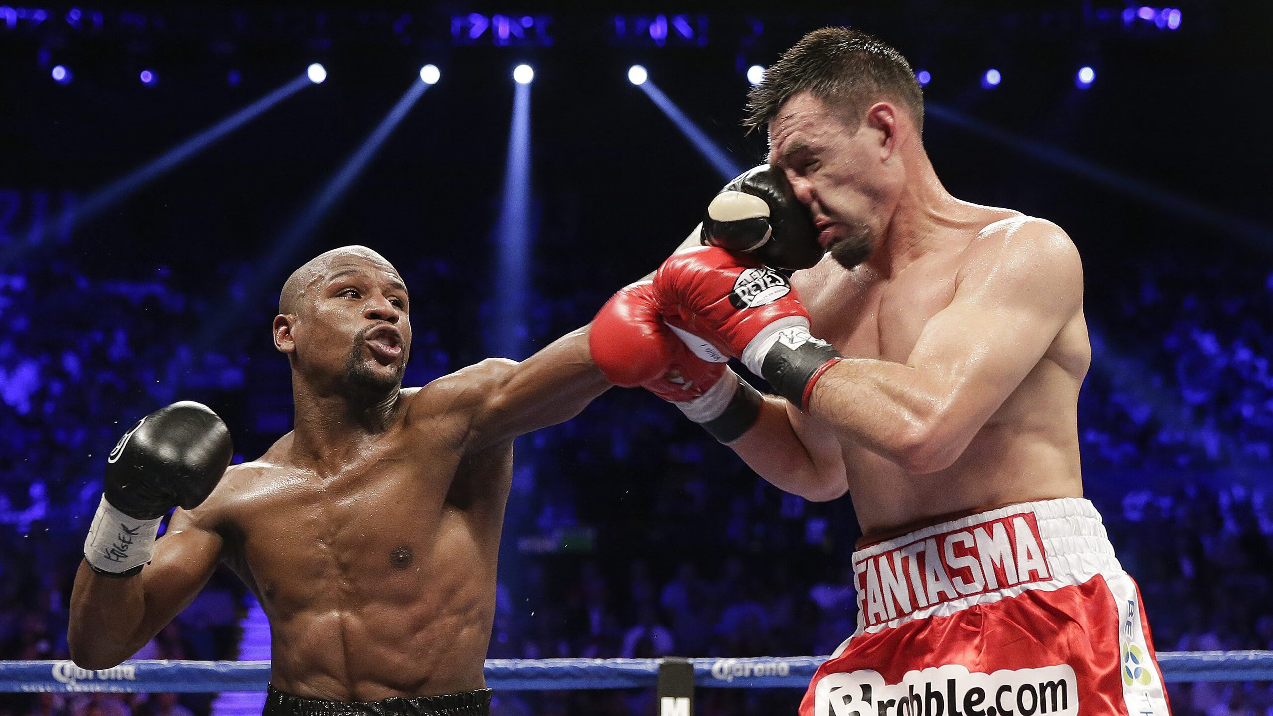 裁判机构发布年度执法报告,透明化推进,裁判执法能力